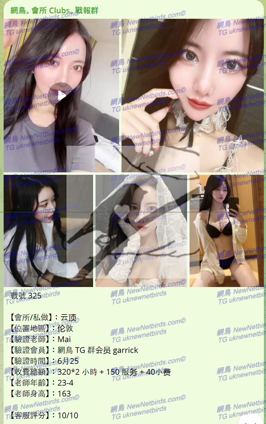 戰號 325 1.png